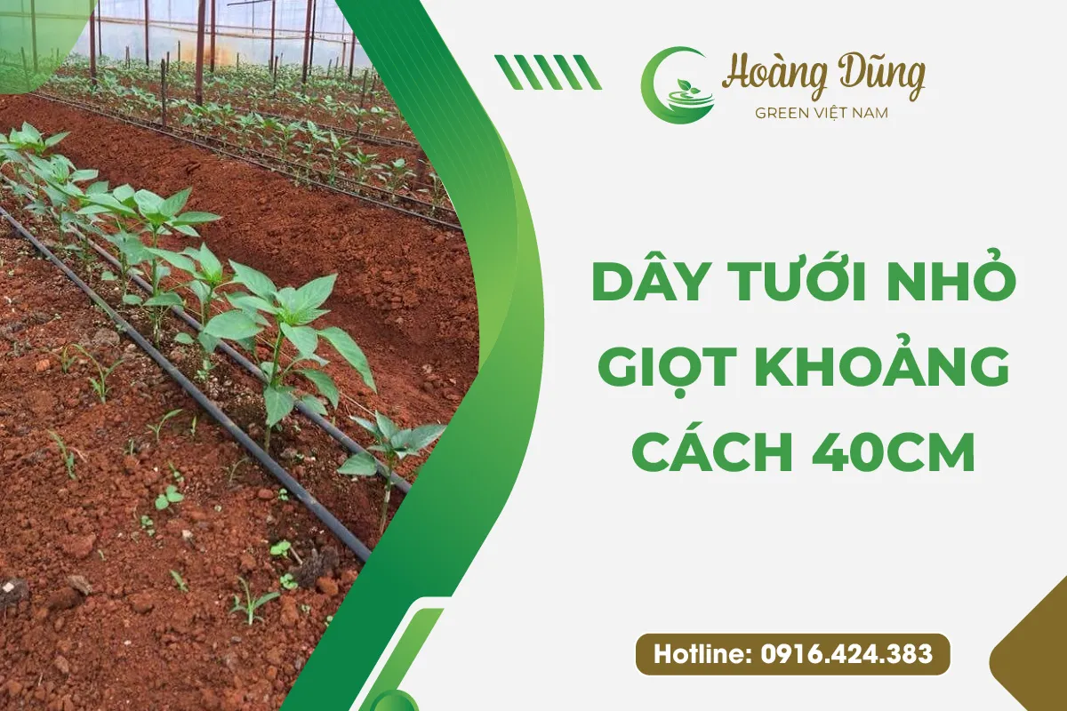 Bạt lót hồ HDPE thi công tại công trường