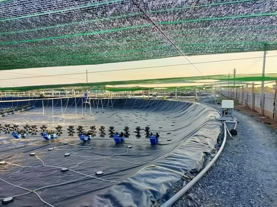 Bể bạt HDPE tròn kích thước lớn