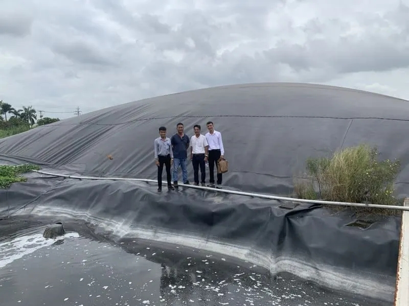 Bể biogas lót bạt HDPE cho trang trại chăn nuôi quy mô lớn