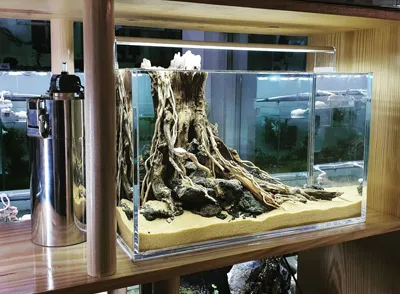 Bể cá acrylic Ebivn trong không gian nội thất hiện đại, thể hiện trọng lượng nhẹ và thiết kế tinh tế