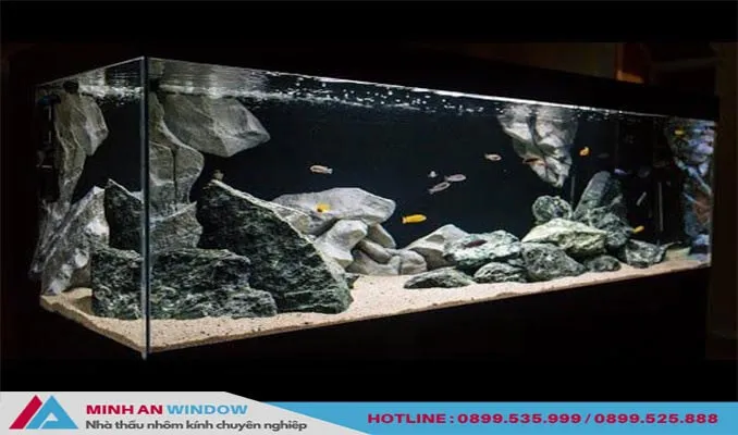 Bể cá cảnh làm từ kính cường lực 8mm sau khi hoàn thiện