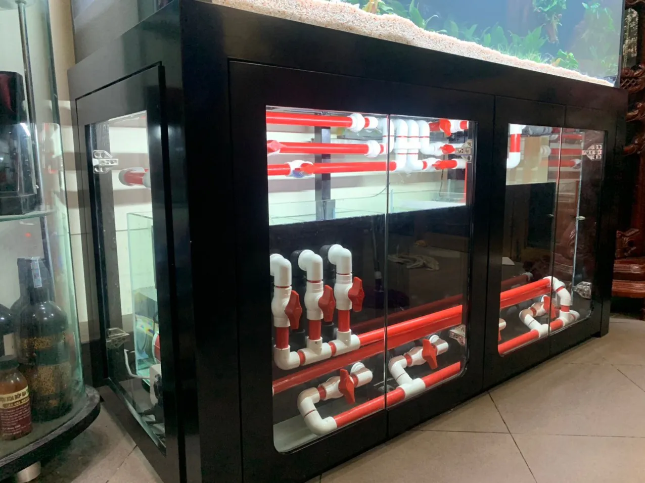 Bể cá công nghệ thủy sinh với bố cục đẹp mắt