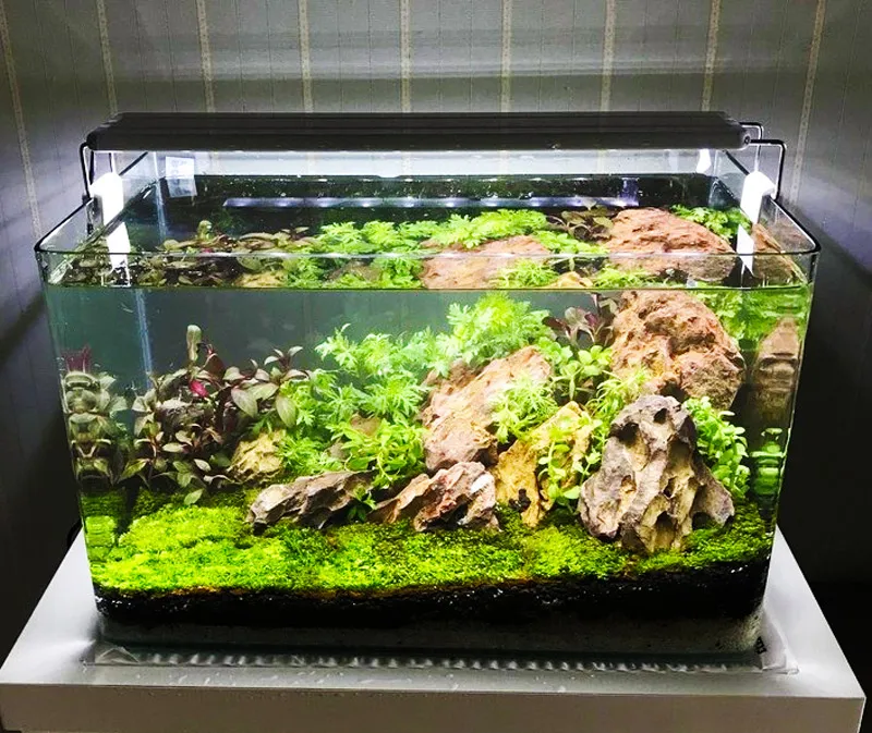 Bể cá nguyên khối