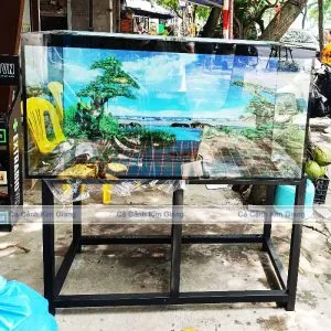 Bể cá rồng sang trọng