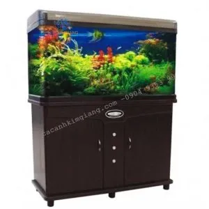 Bể đúc dài 1m chất lượng cao