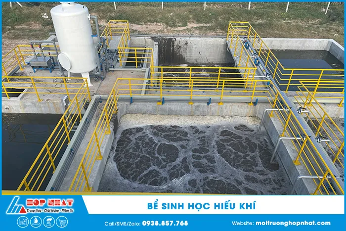 Bể hiếu khí