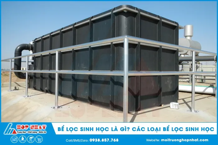 Bể Lọc Sinh Học: Giải Pháp Xử Lý Nước Thải Hiệu Quả và Bền Vững
