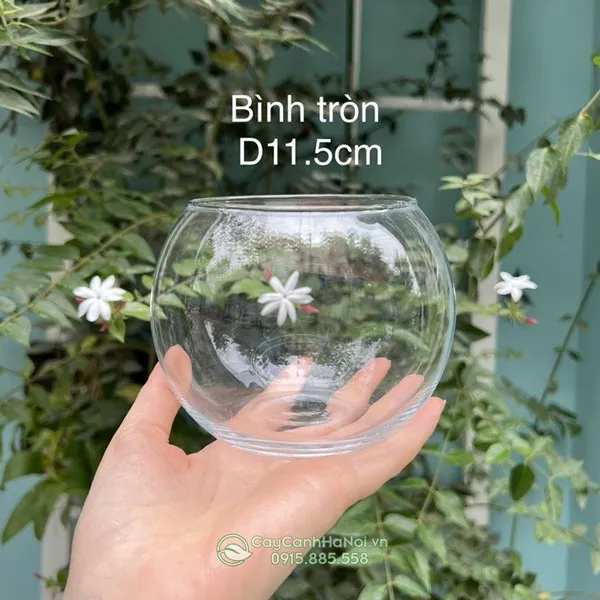 Bình thủy tinh dễ dàng cọ rửa vệ sinh