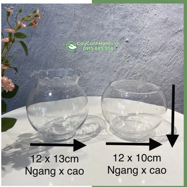 Bình thủy tinh tròn an toàn cho môi trường sống của cá