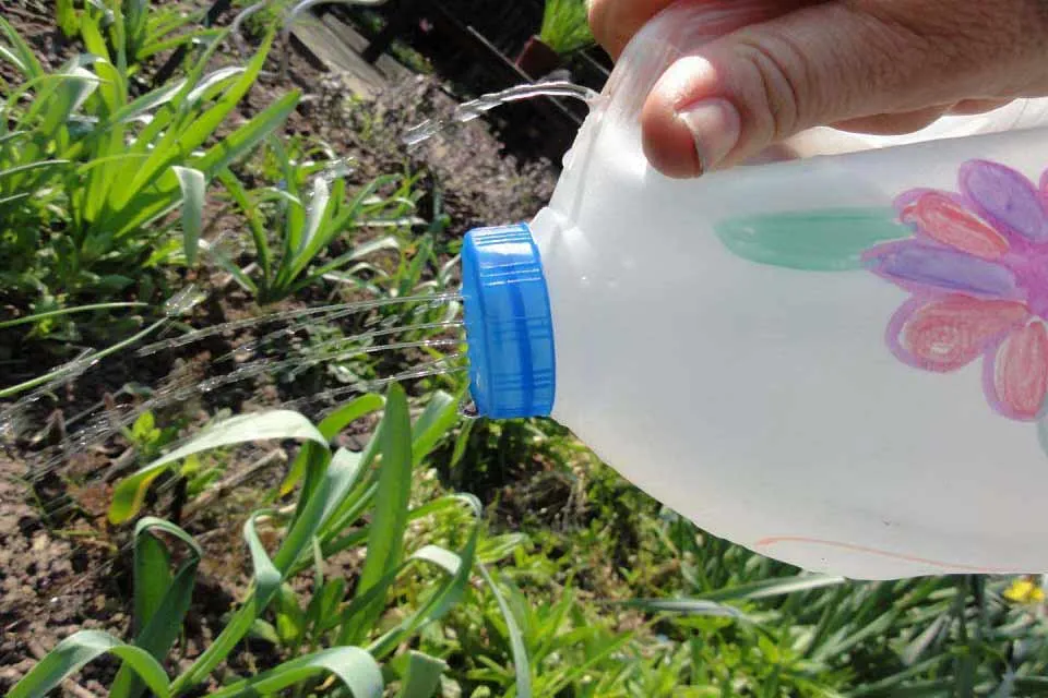 Bình tưới nước tiện dụng và tiết kiệm, được tái chế từ bình nước 1.5 lít, đơn giản và hiệu quả cho việc chăm sóc cây cảnh.