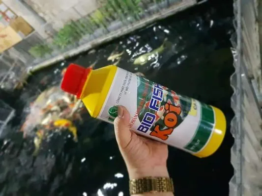 Bio fish - Men vi sinh hồ cá giúp làm trong nước hồ cá Koi hiệu quả