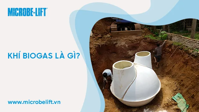 Bioga là gì? Ứng dụng của Bioga trong đời sống