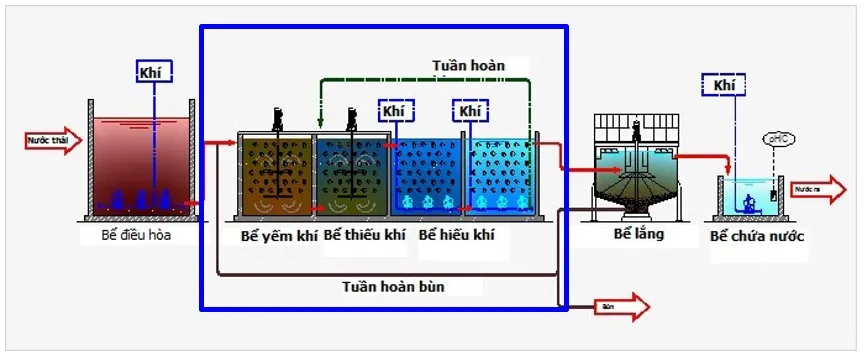 Bổ sung men vi sinh cho hệ thống xử lý nước thải bệnh viện