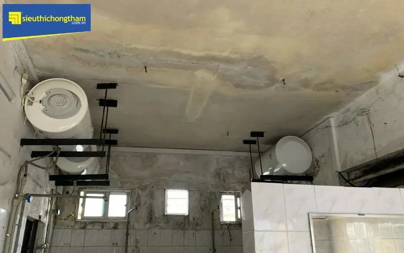 Các dấu hiệu nhận biết sàn nhà vệ sinh bị thấm dột nghiêm trọng, gây ẩm mốc và hư hại kết cấu