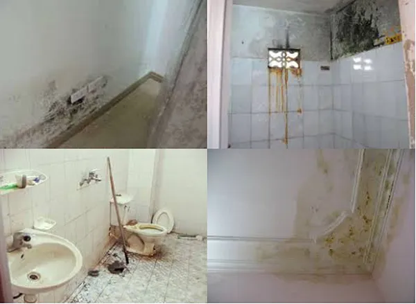 Các khu vực thường xuyên bị thấm dột trong nhà vệ sinh