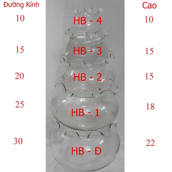 Các kích thước bình thủy tinh nuôi cá miệng bèo
