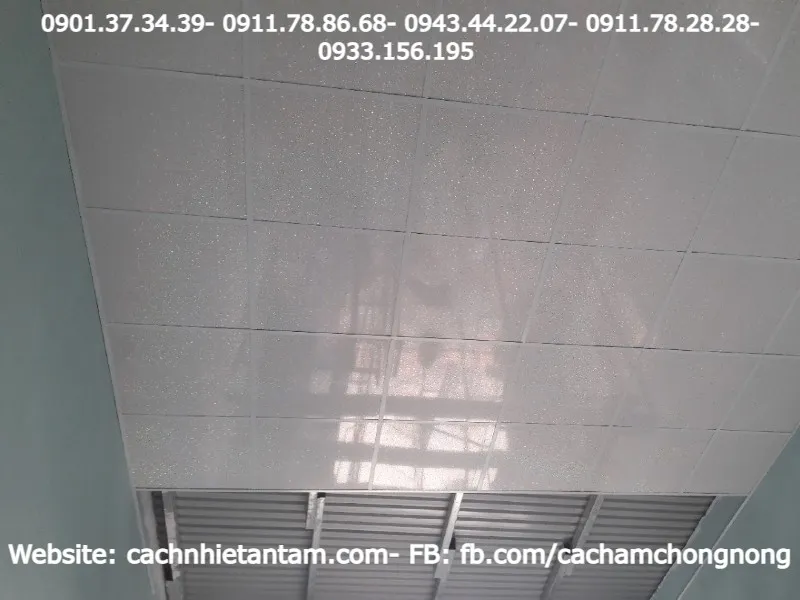 Các loại trần nhựa phổ biến trên thị trường