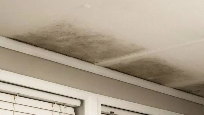 Cách xử lý trần thạch cao ẩm mốc hiệu quả