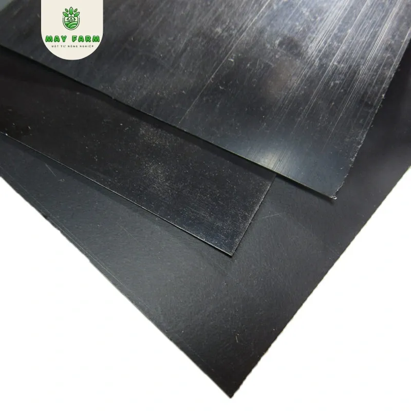 Cận cảnh chất liệu nhựa HDPE nguyên sinh độ dày 2mm sử dụng làm bể bạt