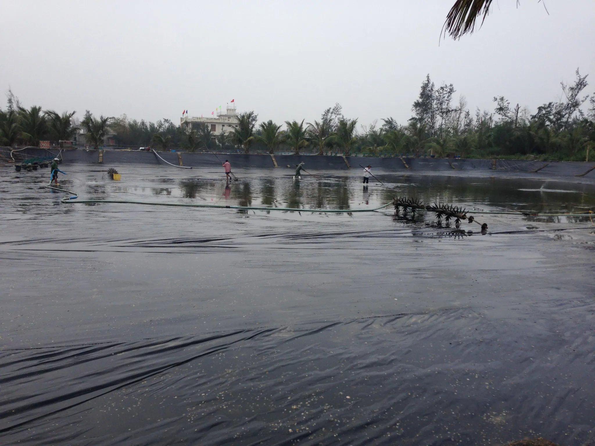Cận cảnh công trình ao nuôi tôm sử dụng màng HDPE để lót đáy, giúp kiểm soát chất lượng nước và tăng năng suất.