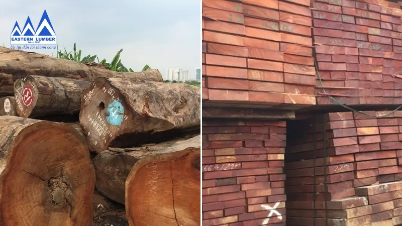 Cận cảnh thớ gỗ lim tự nhiên với vân gỗ xoắn đẹp mắt, minh chứng cho đặc điểm nổi bật của gỗ lim