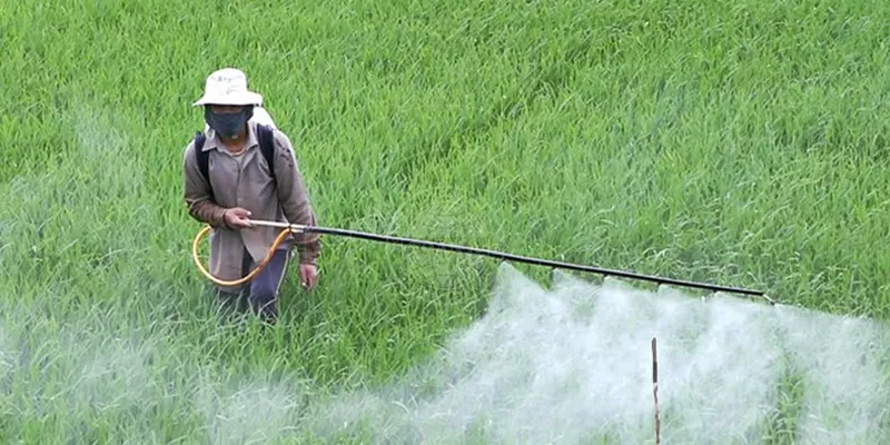 Cảnh quan nông thôn bị ảnh hưởng bởi ô nhiễm nước thải