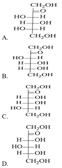 Cấu trúc fructose dạng mạch hở - một loại đường đơn có thể lên men để sản xuất ethanol sinh học