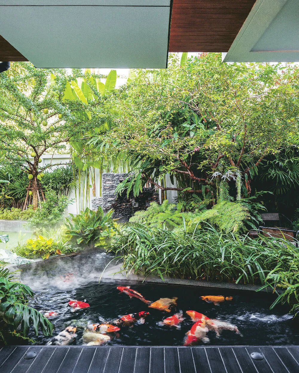Cây xanh quanh hồ cá