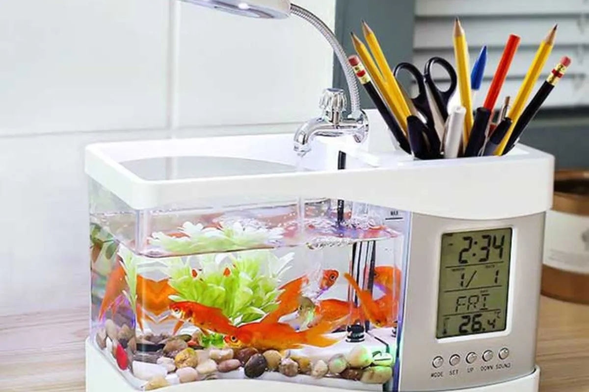 Chậu cá mini 3 in 1 với đèn