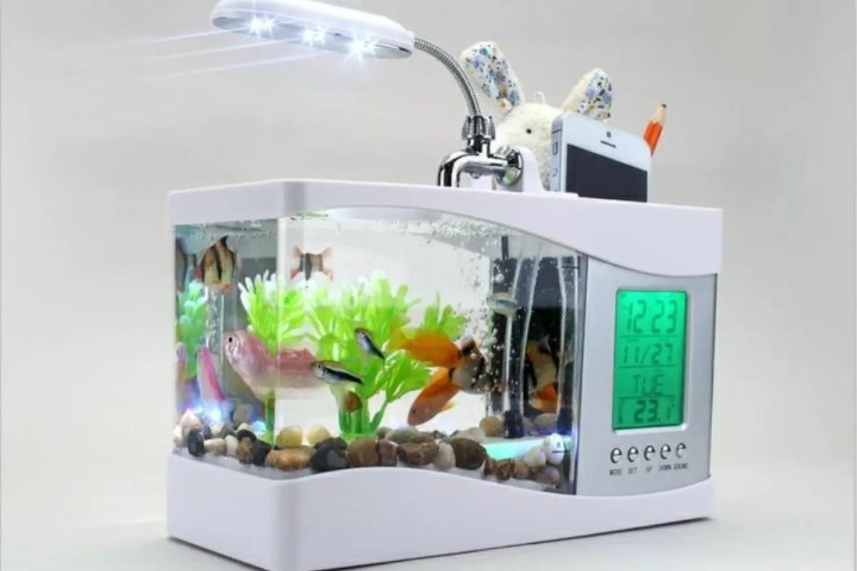 Chậu cá mini có đèn LED