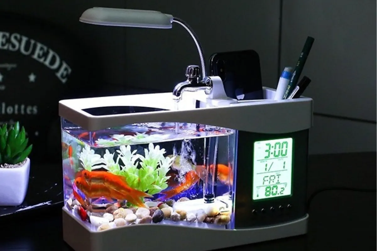 Chậu cá mini để bàn 3 in 1