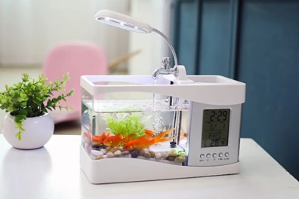 Chậu cá mini kèm đồng hồ và đèn