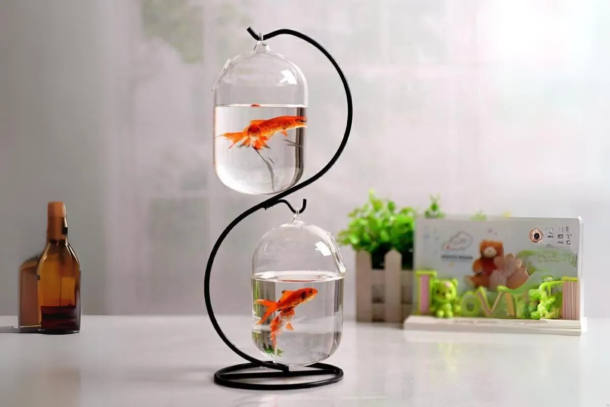 Chậu cá mini treo để bàn phong cách