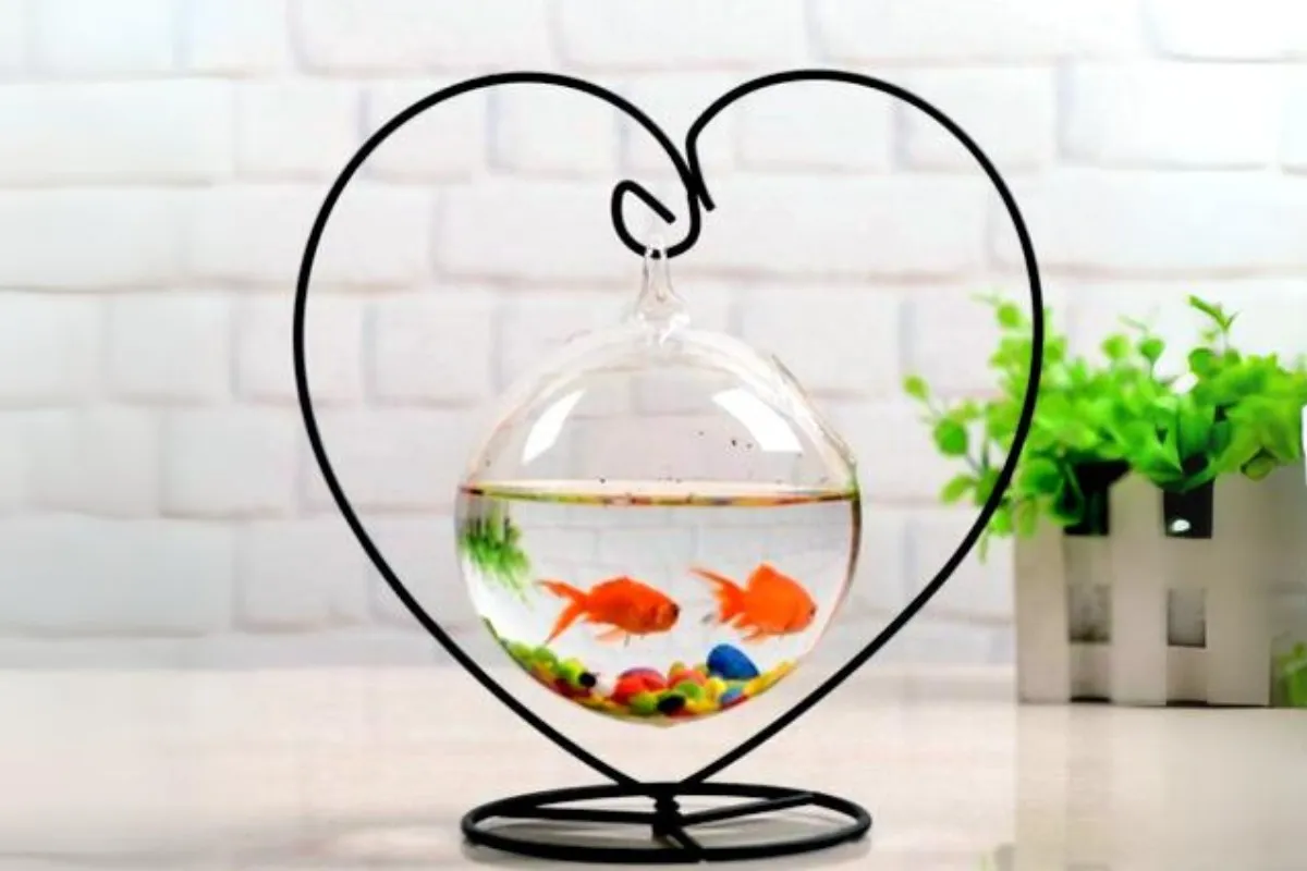 Chậu cá mini treo với cây xanh