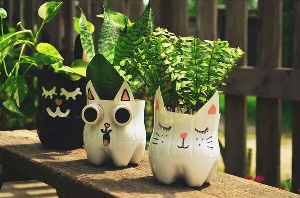 Chậu cây cảnh làm từ chai nhựa tái chế, góp phần xanh hóa không gian nhà bạn