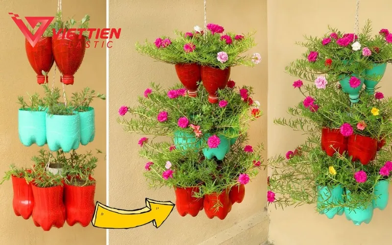 Chậu trồng cây được tái chế khéo léo từ chai nhựa phế liệu, góp phần giảm rác thải nhựa