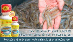 Chế phẩm sinh học cho nuôi trồng thủy sản