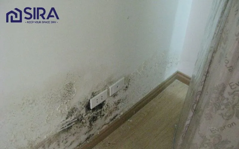 Chống thấm chân tường