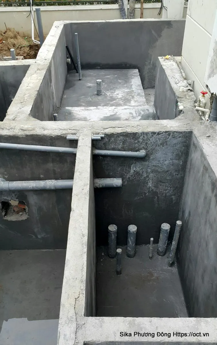 Chống thấm cổ ống hồ cá