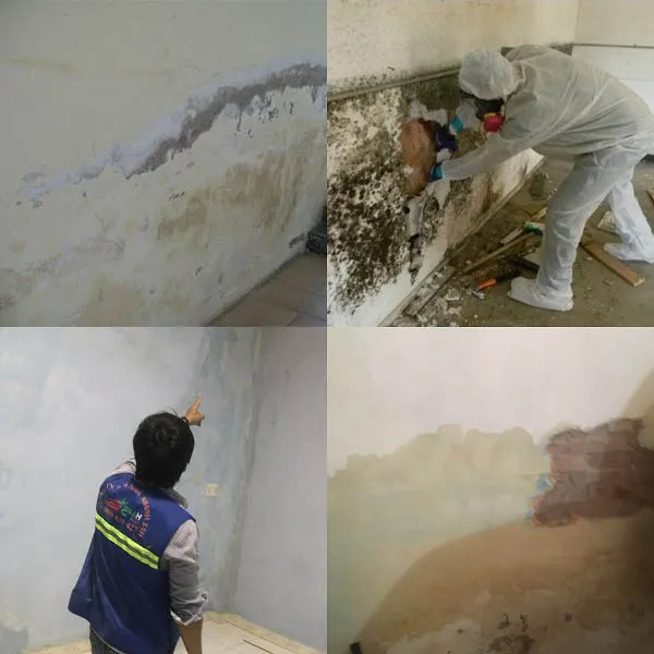 Chống thấm ngược tường trong nhà