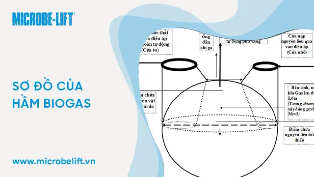 Cơ chế hình thành Bioga