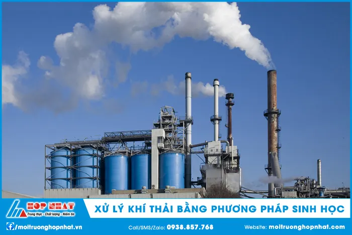 Cơ chế hoạt động của bộ lọc sinh học trong xử lý khí thải