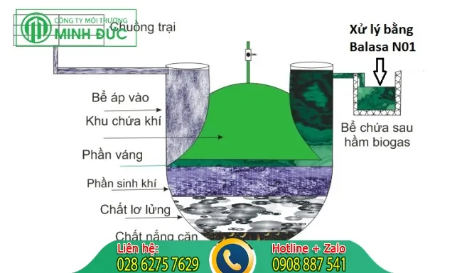 Cơ chế hoạt động của hầm Biogas và hầm Biogas cải tiến