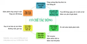Cơ chế tác động chế phẩm sinh học