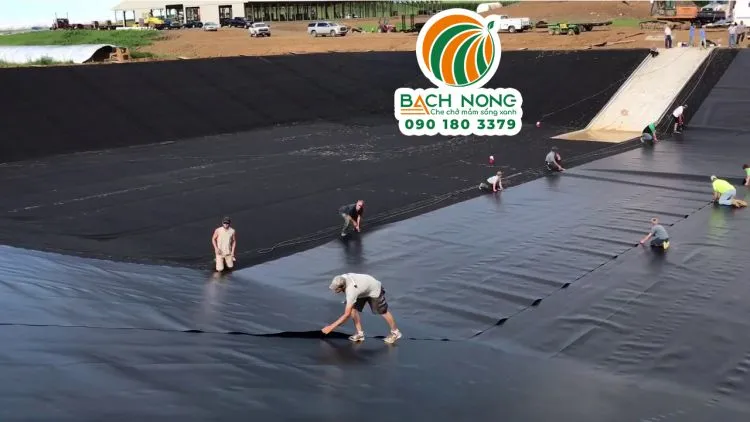 Công nhân đang trải bạt HDPE để lót ao, đảm bảo kỹ thuật thi công chuẩn xác