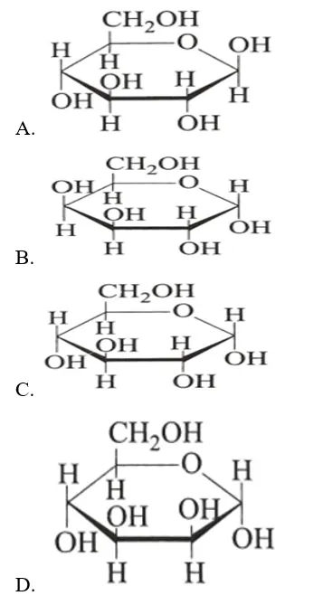 Công thức cấu tạo của β-glucose, một monosaccharide là đơn vị cơ bản của nhiều nguyên liệu tinh bột dùng sản xuất ethanol