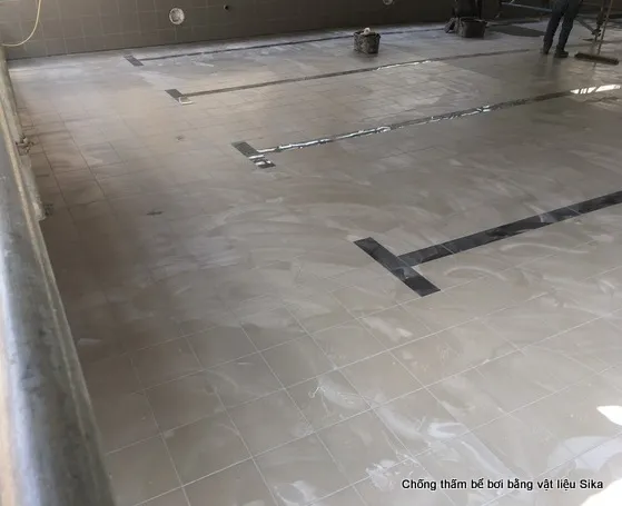 Công trình bể bơi được chống thấm bằng vật liệu Sika chuyên dụng