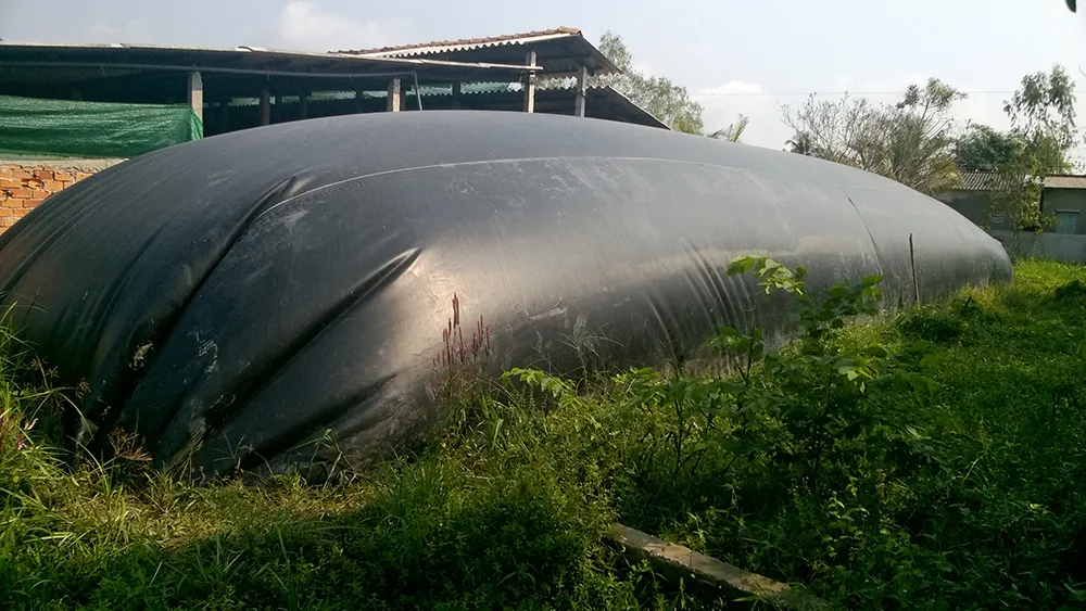 Đa dạng các loại hầm biogas phổ biến trong mô hình xử lý chất thải chăn nuôi