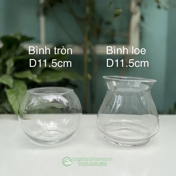 Đặc điểm bể thủy tinh nuôi cá bền bỉ