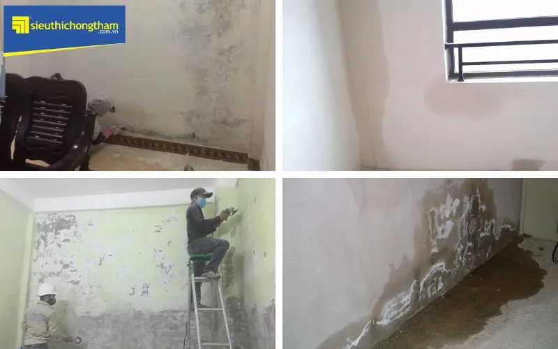 Dấu hiệu nhận biết tường nhà cũ đang bị thấm ẩm, cần xử lý chống thấm kịp thời